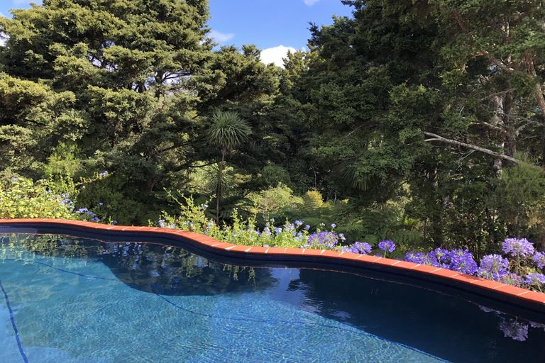 Photo of property in 157 Okokako Road, Waimate North, Kerikeri, 0293