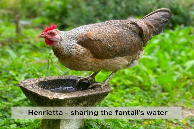 Photo of property in 4 Te Pahi River Drive, Paparoa, Maungaturoto, 0583