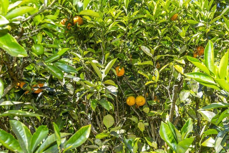 Photo of property in 1029d Akatarawa Road, Akatarawa, Upper Hutt, 5372