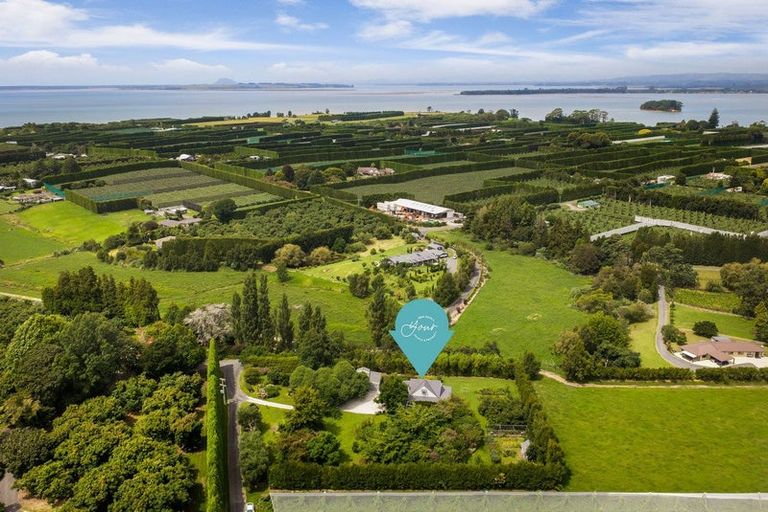 Photo of property in 55e Pukakura Road, Katikati, 3178