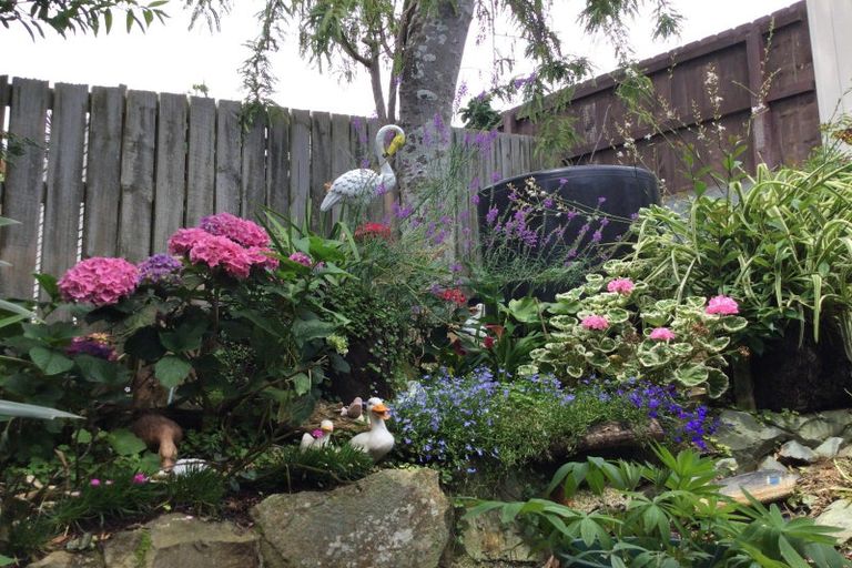 Photo of property in 104 Hays Place, Thames, 3500