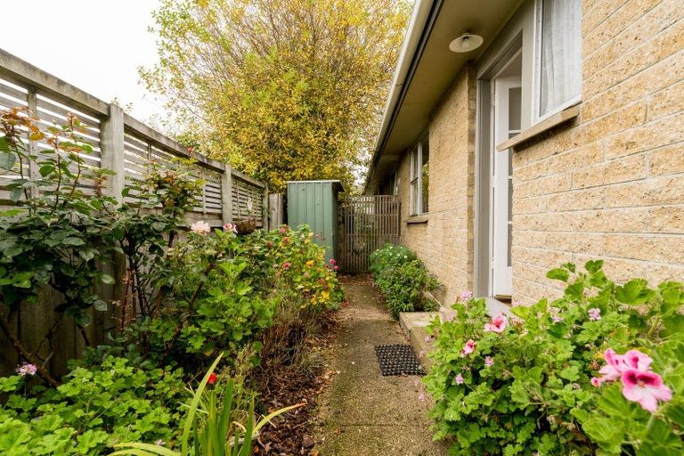 Photo of property in 58b Albert Street, Saint Clair, Dunedin, 9012