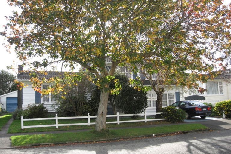 Photo of property in 19 Orr Crescent, Hutt Central, Lower Hutt, 5011