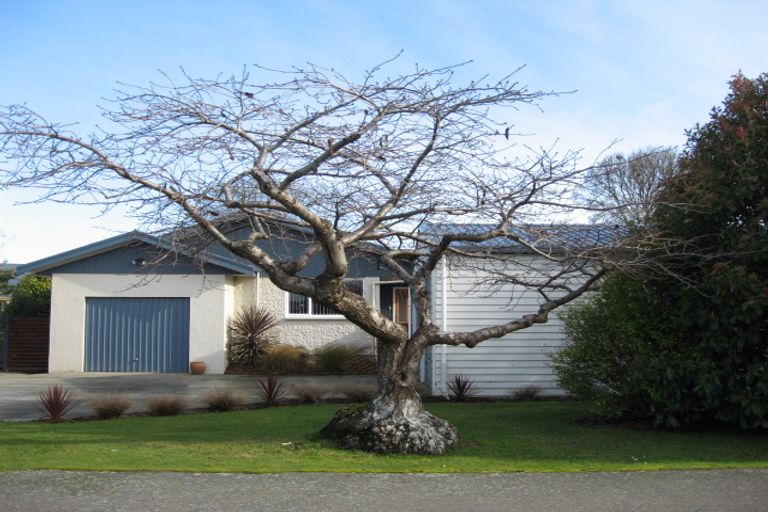 Photo of property in 18 Hillary Street, Winton, 9720