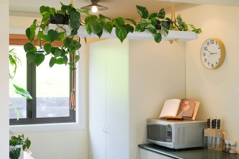 Photo of property in 45 North Taieri Road, Abbotsford, Dunedin, 9018