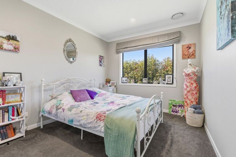 Photo of property in 62 Paparamu Road, Piarere, Tirau, 3484