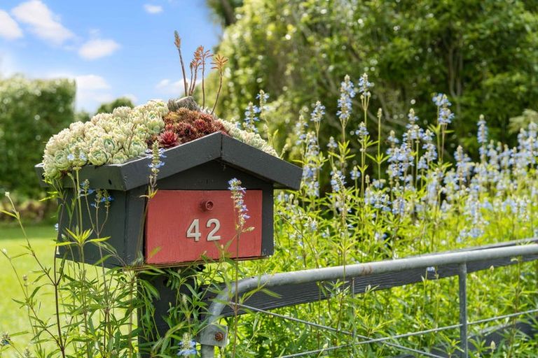 Photo of property in 42 Parakiwai Quarry Road, Whangamata, 3691