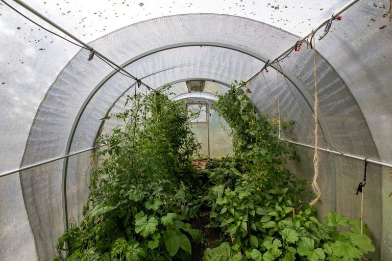 Photo of property in 657 Domett Road, Domett, Cheviot, 7382