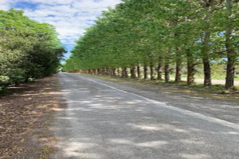 Photo of property in 305 Lehmans Road, Fernside, Rangiora, 7471