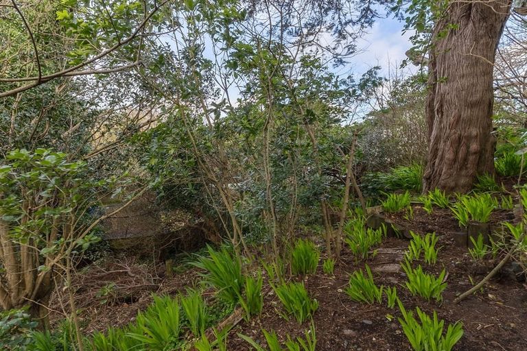 Photo of property in 36 Renown Road, Raumati South, Paraparaumu, 5032