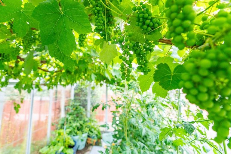 Photo of property in 15 Bryant Street, Kenmure, Dunedin, 9011