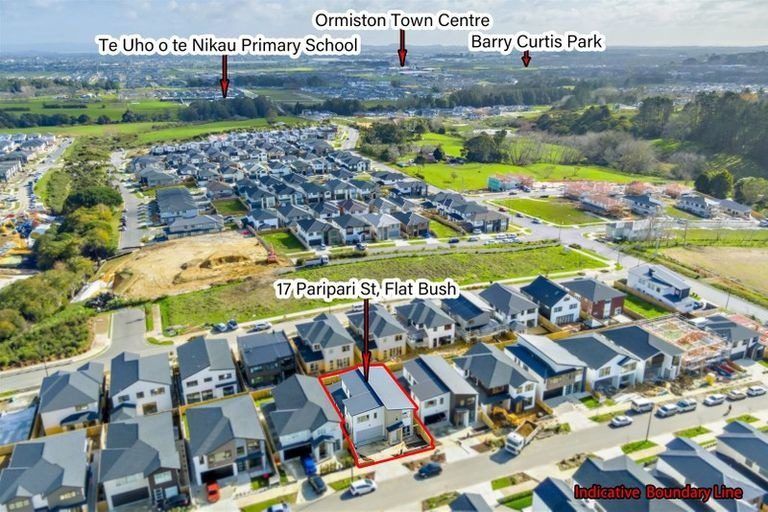 Photo of property in 17 Paripari Street, Flat Bush, Auckland, 2019