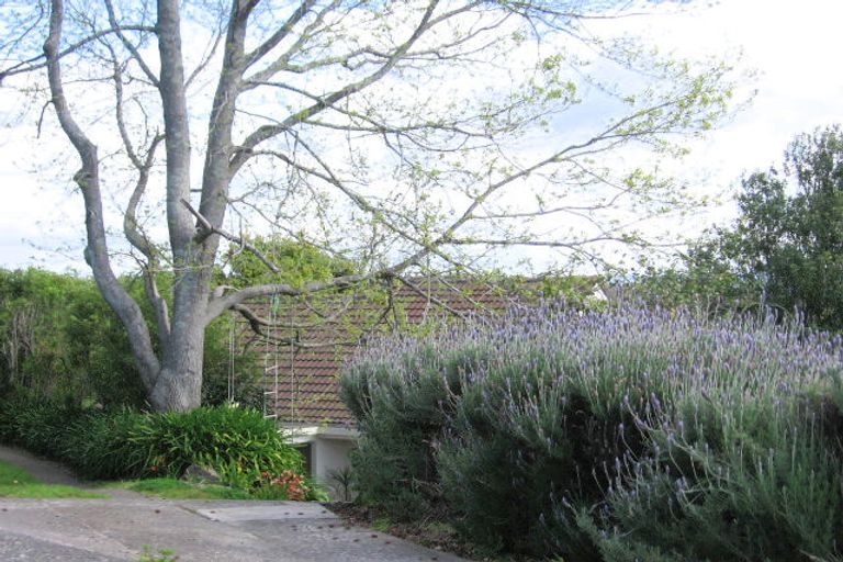 Photo of property in 32 Emily Place, Bellevue, Tauranga, 3110