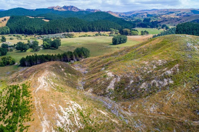 Photo of property in 3525 Masterton Castlepoint Road, Mangapakeha, Masterton, 5889