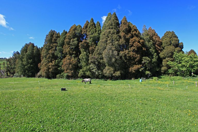 Photo of property in 11 Mangakino Road, Raglan, 3295