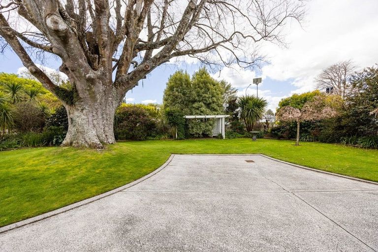 Photo of property in 36 Grey Street, Cambridge, 3434