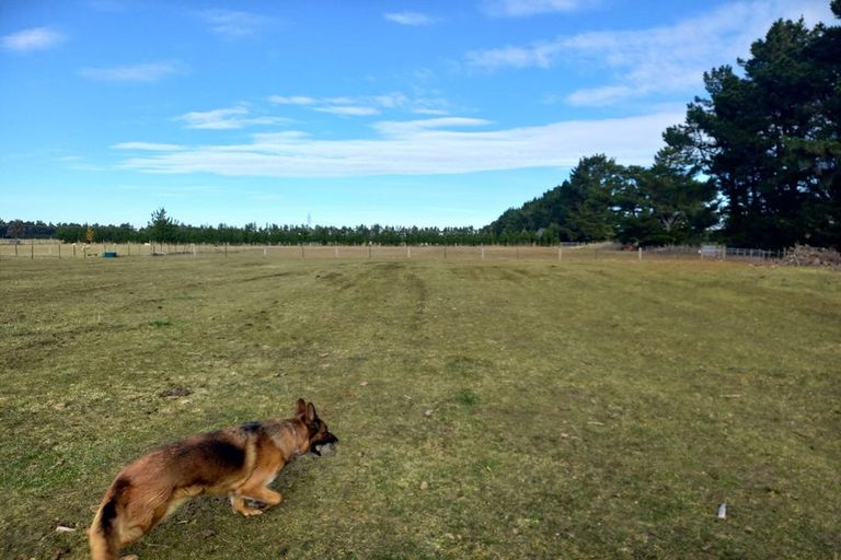 Photo of property in 175 German Road, Cust, Rangiora, 7471