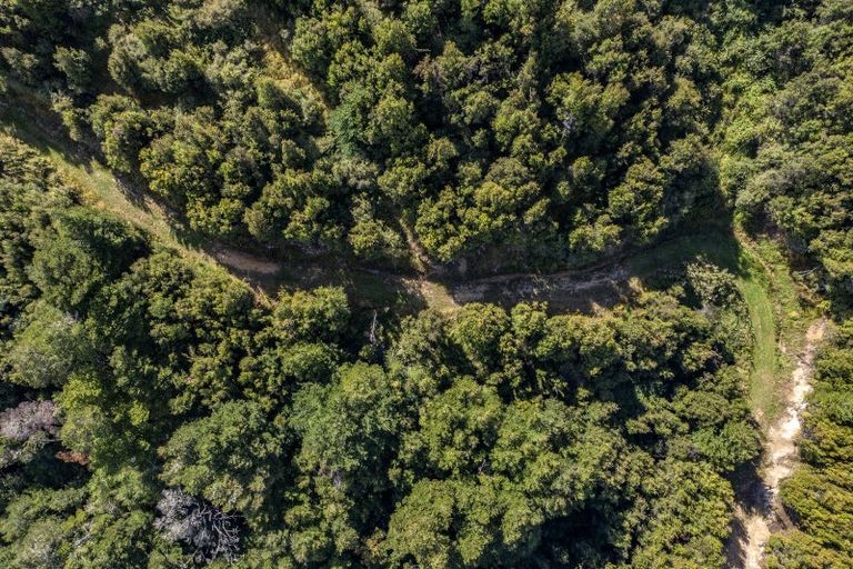 Photo of property in 253 Mount Lyford Forest Drive, Lyford, Waiau, 7395