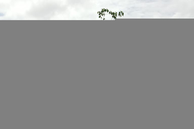 Photo of property in 10 Turnbull Crescent, Morrinsville, 3300