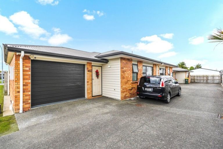 Photo of property in 43a Campbell Street, Frankton, Hamilton, 3204