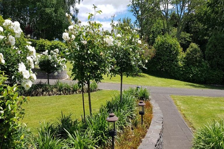 Photo of property in 17 Wallace Place, Tauriko, Tauranga, 3110