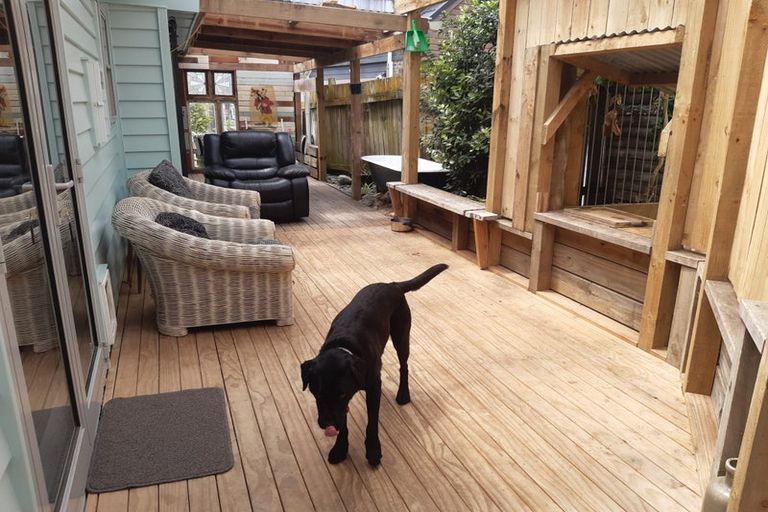 Photo of property in 10 Alexander Road, Raumati Beach, Paraparaumu, 5032