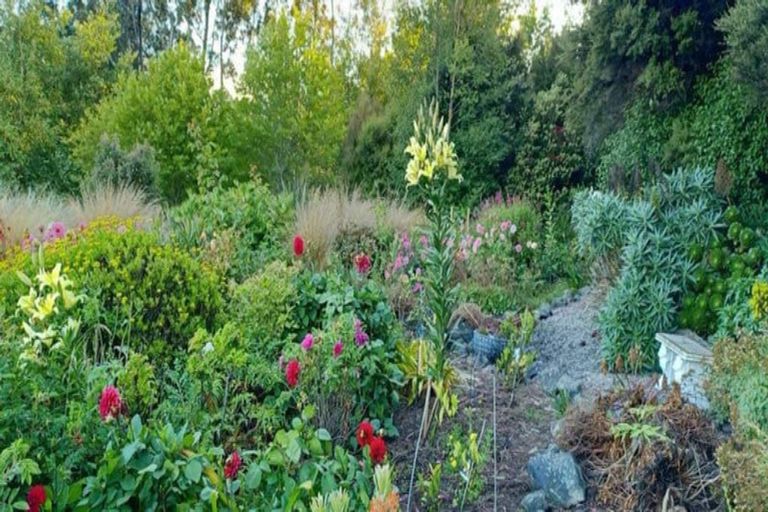 Photo of property in 806 Mount Cargill Road, Mount Cargill, Waitati, 9085