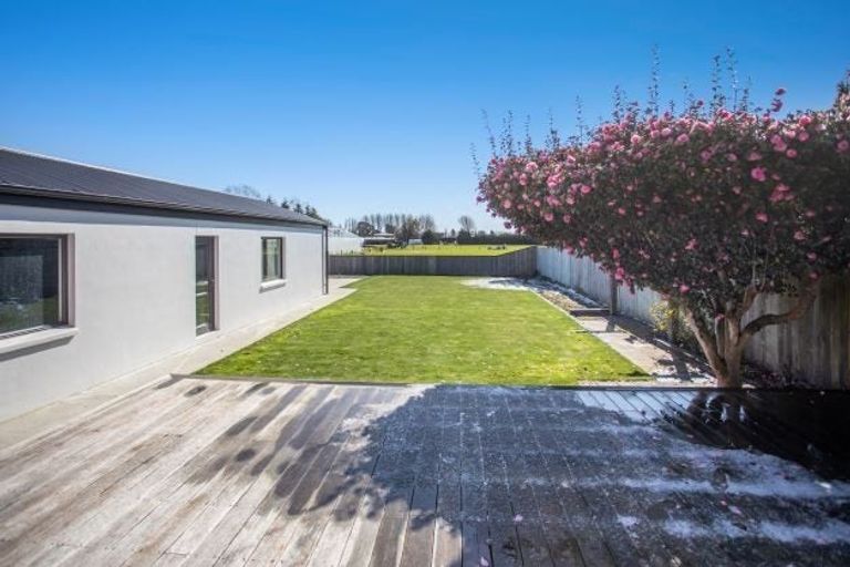 Photo of property in 11 Mcsaveneys Road, Marshland, Christchurch, 8051