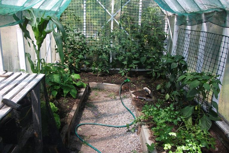 Photo of property in 274 Wangapeka Road, Little Wanganui, Karamea, 7893