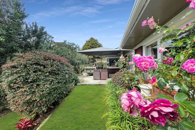 Photo of property in 6 Strathmore Place, Whakatane, 3120