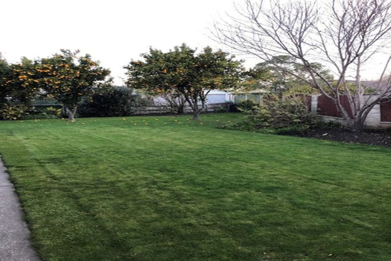 Photo of property in 55 Guppy Road, Greenmeadows, Napier, 4112