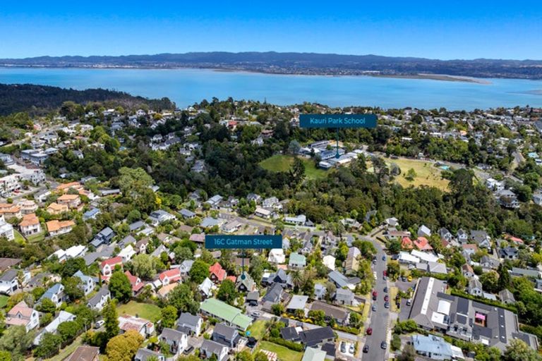 Photo of property in 3/16 Gatman Street, Birkdale, Auckland, 0626