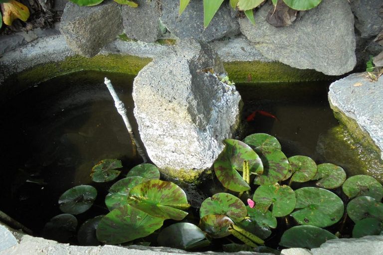 Photo of property in 7 Ferrymead Terrace, Ferrymead, Christchurch, 8081