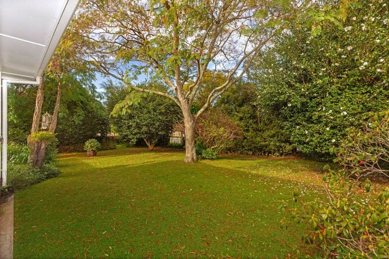 Photo of property in 35 Gordon Street, Mangapapa, Gisborne, 4010