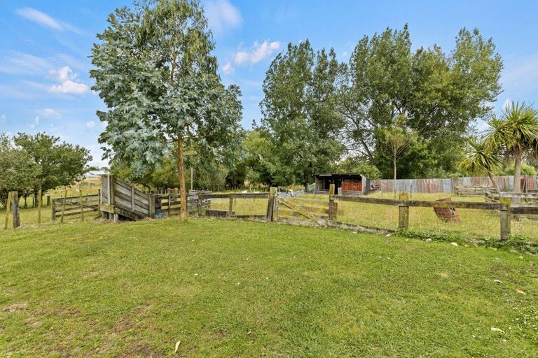 Photo of property in 38 Kensington Road, Marton, 4710