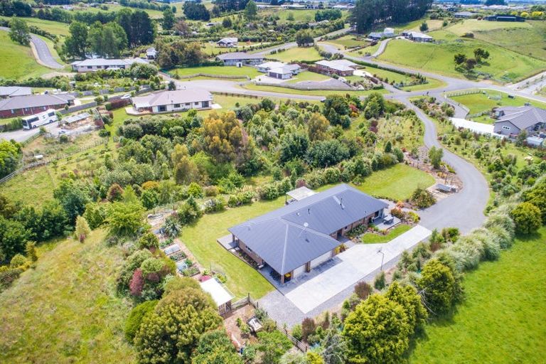 Photo of property in 5 Quail Avenue, Feilding, 4775