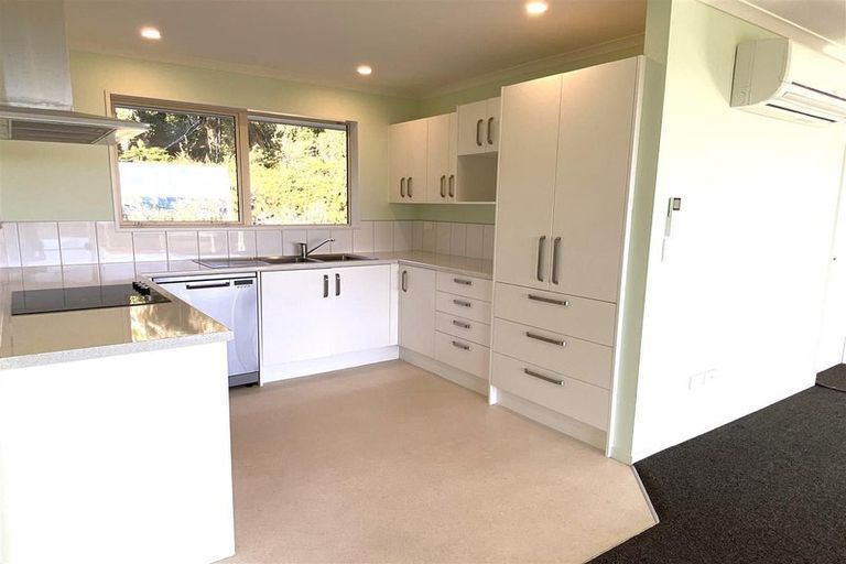 Photo of property in 20a Serpentine Road, Kumara Junction, Hokitika, 7882