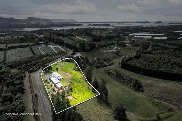Photo of property in 24 Martray Road, Tahawai, Katikati, 3170