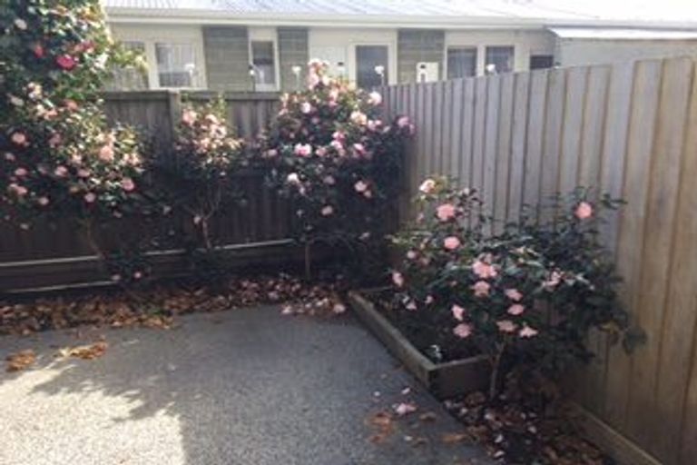 Photo of property in 3/315 Hereford Street, Christchurch Central, Christchurch, 8011