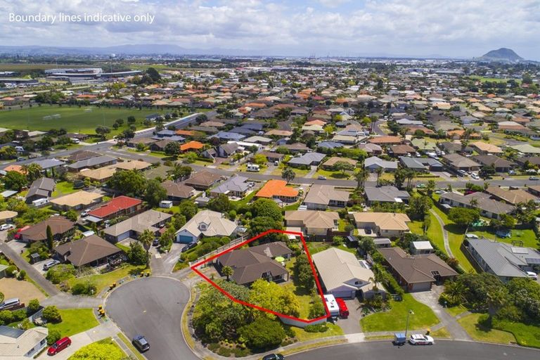 Photo of property in 25 Jasmine Place, Mount Maunganui, 3116