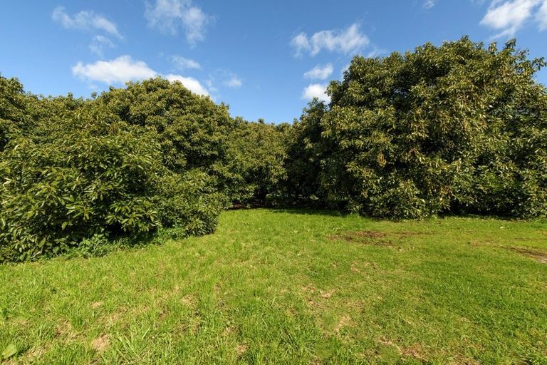 Photo of property in 219 Plummers Point Road, Whakamarama, Tauranga, 3172