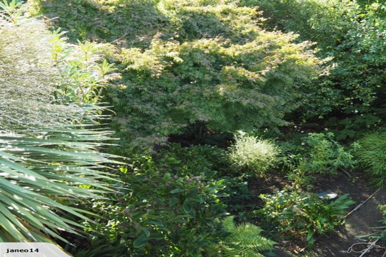 Photo of property in 8 Rhodesvale Terrace, Cashmere, Christchurch, 8022