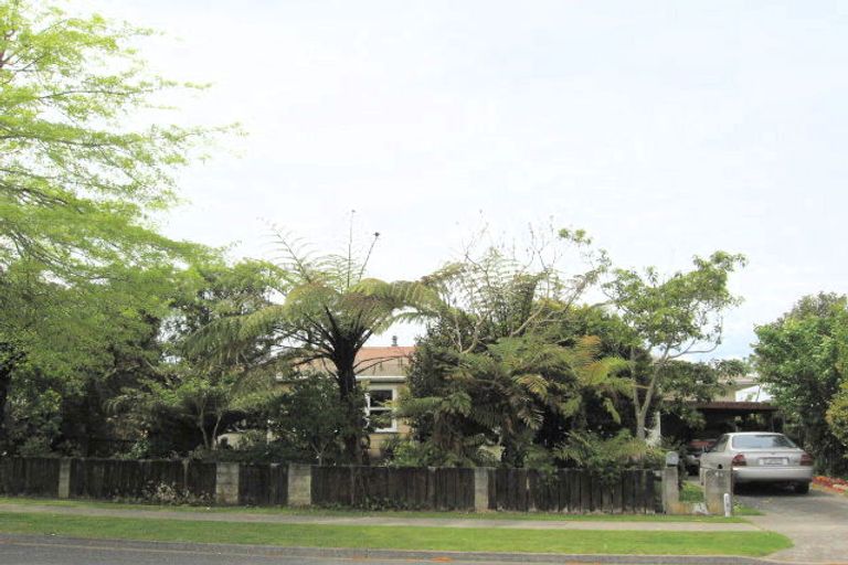 Photo of property in 52 Nelson Street, Opotiki, 3122