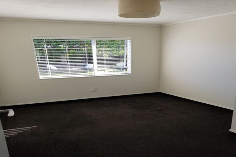 Photo of property in 187 Avondale Road, Greenmeadows, Napier, 4112