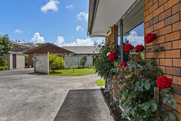 Photo of property in 9a Wilton Street, Westown, New Plymouth, 4310