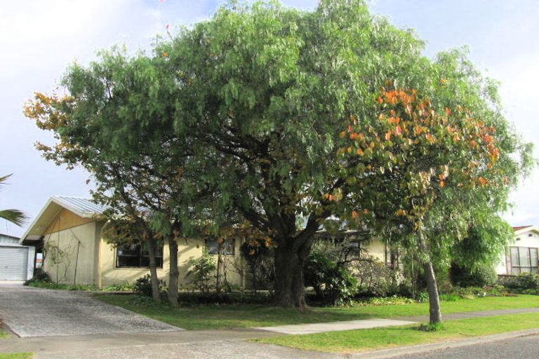 Photo of property in 16 Leeds Place, Tamatea, Napier, 4112