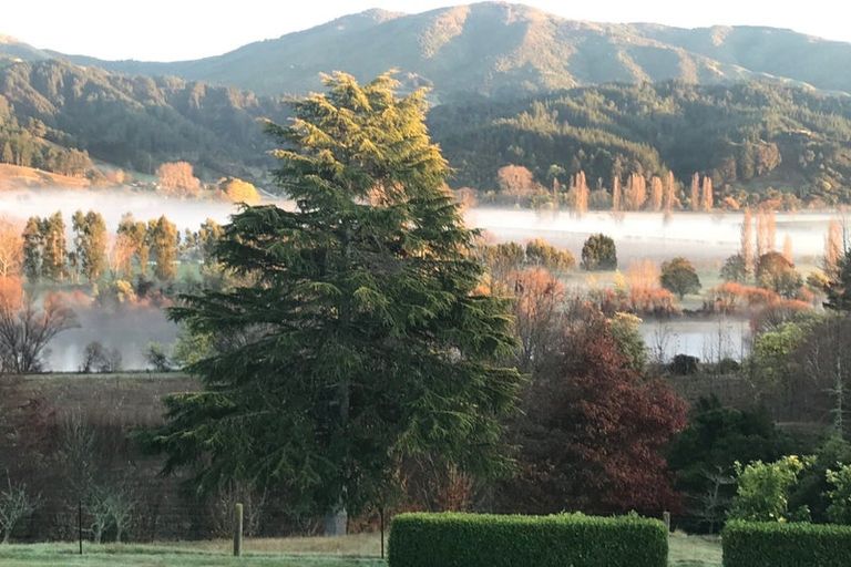 Photo of property in 273 College Street, Motueka, 7196