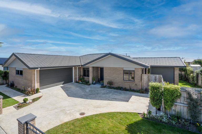 Photo of property in 46 Totara Road, Awapuni, Palmerston North, 4412