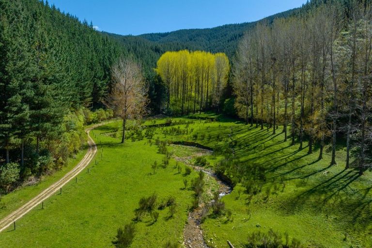 Photo of property in 216 Para Road, Koromiko, Blenheim, 7273