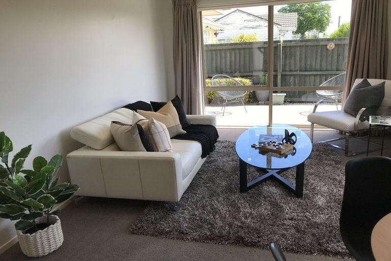 Photo of property in 20a Richill Street, Belfast, Christchurch, 8051